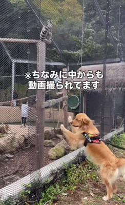 「遊ぼう～」