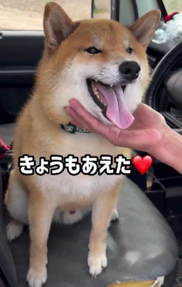 「夢じゃなかった!!」