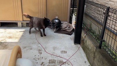 やっぱり離れてからブルブルッ