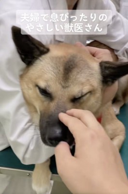 よく頑張りました!