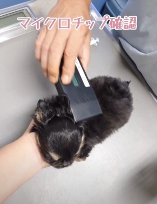 順調に処置が進んでいきます