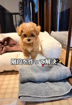 ステップを作ることで解決