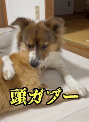 満を持しての