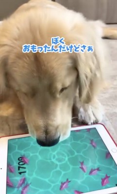 もしかしたら…