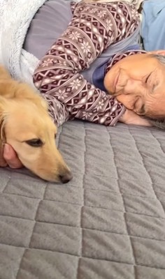 祖母と寝る小型犬
