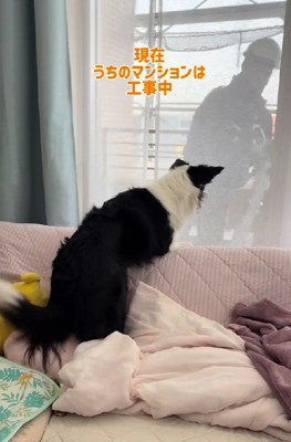 工事をしていたら…