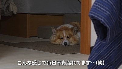 お母さんの不在