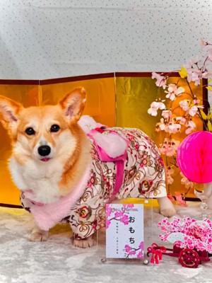 相変わらず可愛い♡