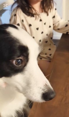 女の子とアグちゃんの日常9