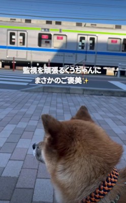 予想外の奇跡が♪