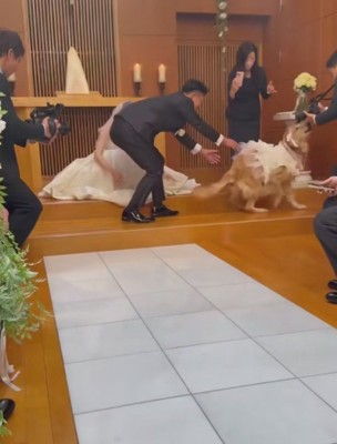 どこかへ行っちゃった！！