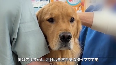 注射は難なくクリア！