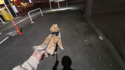 大急ぎで走り出した