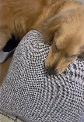 markくんとお兄ちゃんの再会4