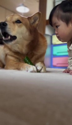 小さな女の子に!