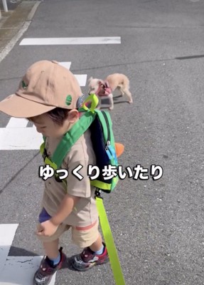 モンくんに合わせて…