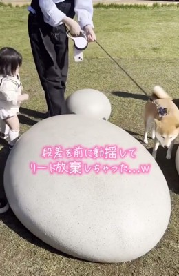 リードを離したみーちゃん