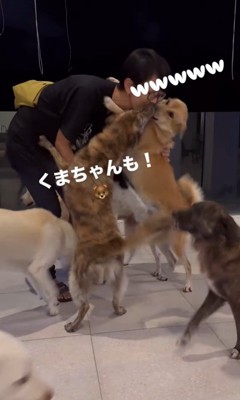 お母さんを歓迎する保護犬たち8