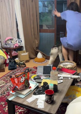 あと一歩のところで逃亡！！