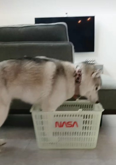 当然のようにチェックイン
