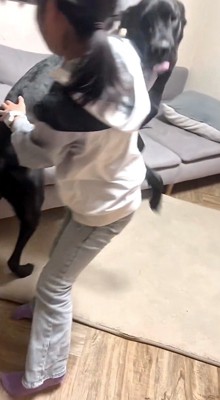 女の子の周りを飛びまわる黒い犬