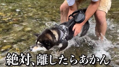 不安げなお顔で泳ぐ練習