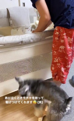 「さくくんが泣いてる！」