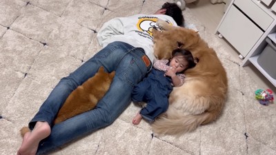 みんなで寝るとあったかい♡