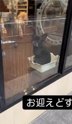 幼稚園のお迎えでは…