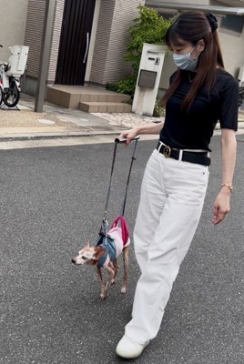 外でのお散歩の様子