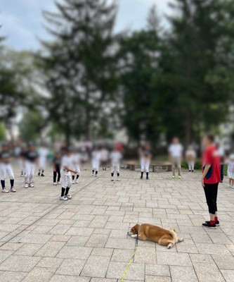 ラジオ体操に参加したら…