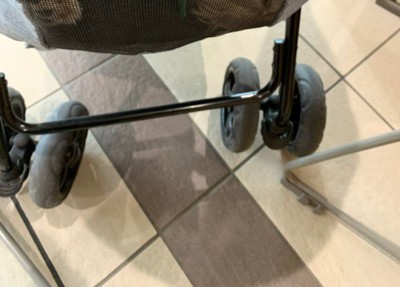 愛犬と一緒に市役所へ