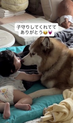 安心して見ていられます