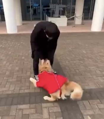 男性に体を寄せる犬