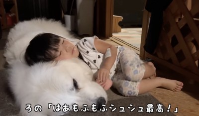 願わくばずっと一緒に