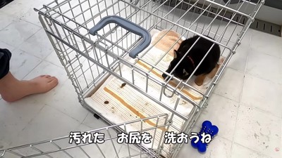 投稿主さんが預かることに