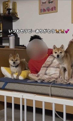 闘病中のパパさんに寄り添うたもつ君＆たら君8