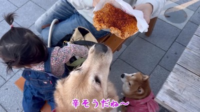 公園に寄ってランチタイム