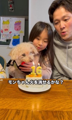 モンくんのお誕生日会2