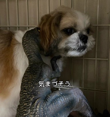 気まずい表情も味がある