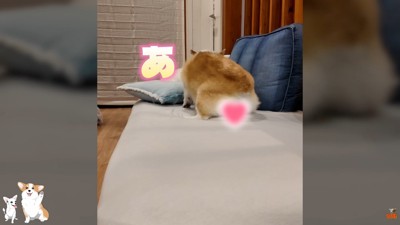 最後にまさかのハプニング発生