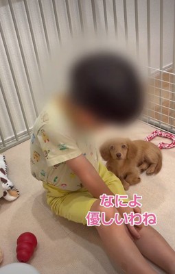 「もういいの?」