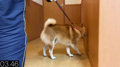 診察室から逃亡!