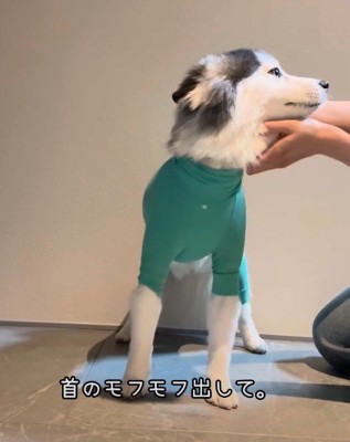 顔周りを整えたら…