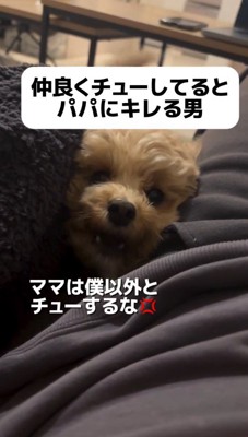 男性に向かって吠える犬