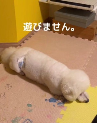 遊ぶことも知らない