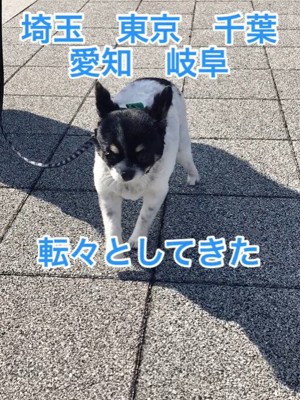 ちーちゃんとの出会い2