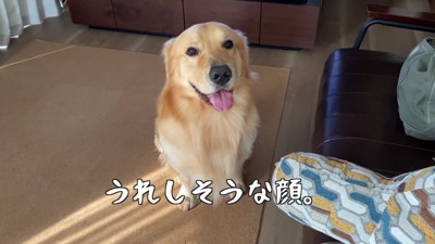 早く外に出たいなあ…！