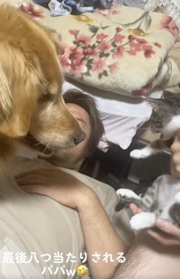 チェック、終了。