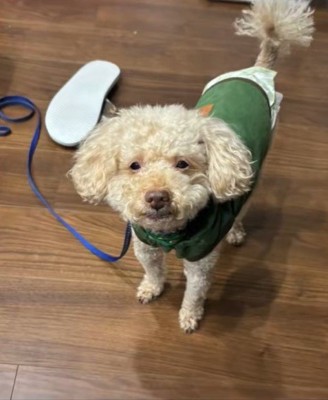 ビジュが変わるアレクくん2